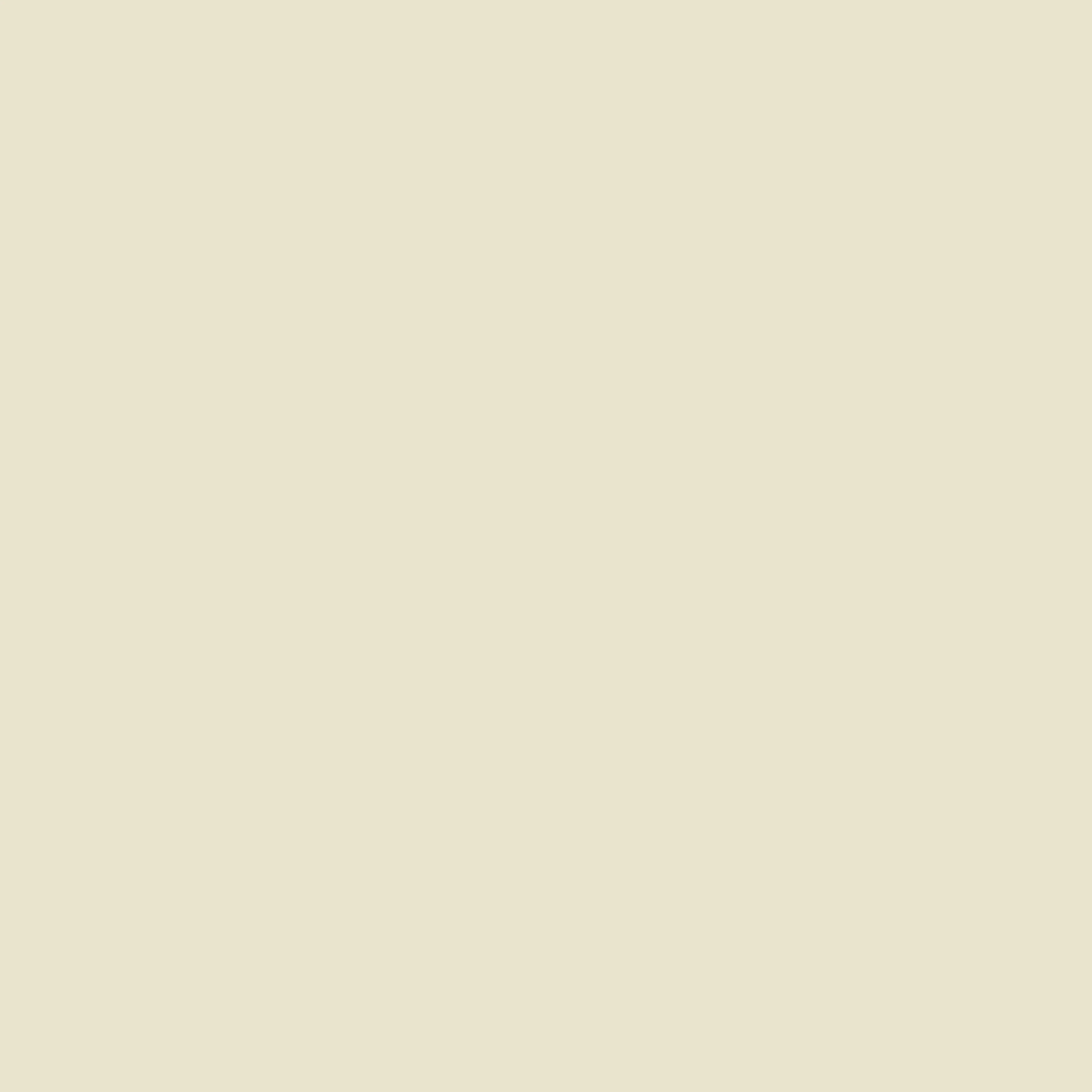 Anaar Mor(Beige) (PS 102) - Image 2