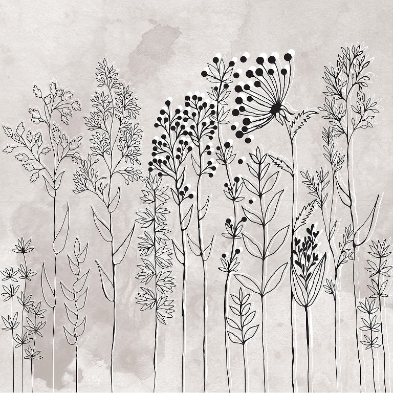 Botanical Ink Sketch ( ORI 103 )