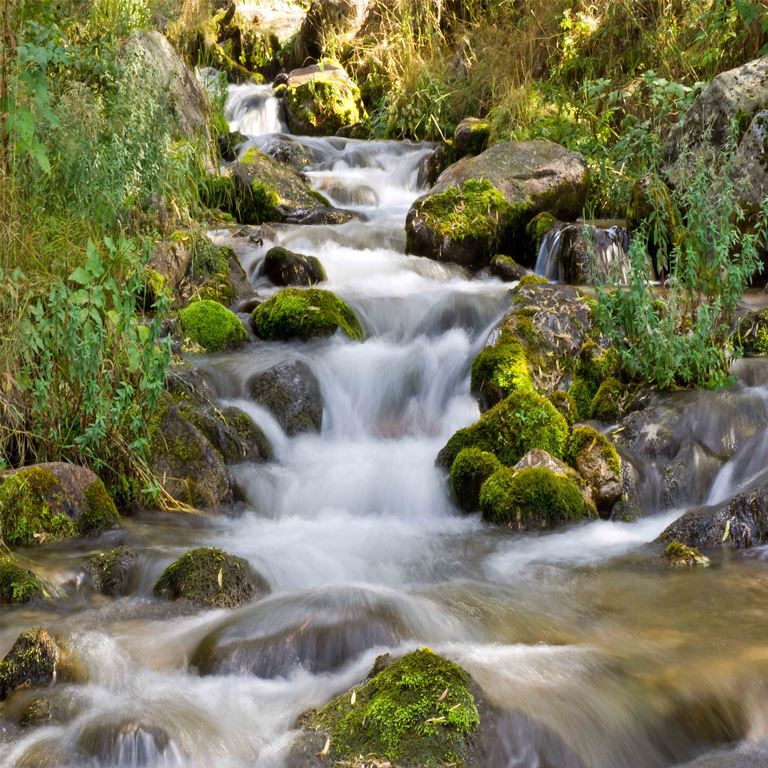 Cascading Serenity ( NAT 116 )