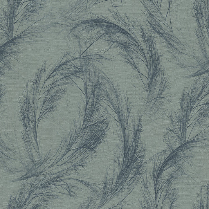 Coastal Reeds (DB 73752)