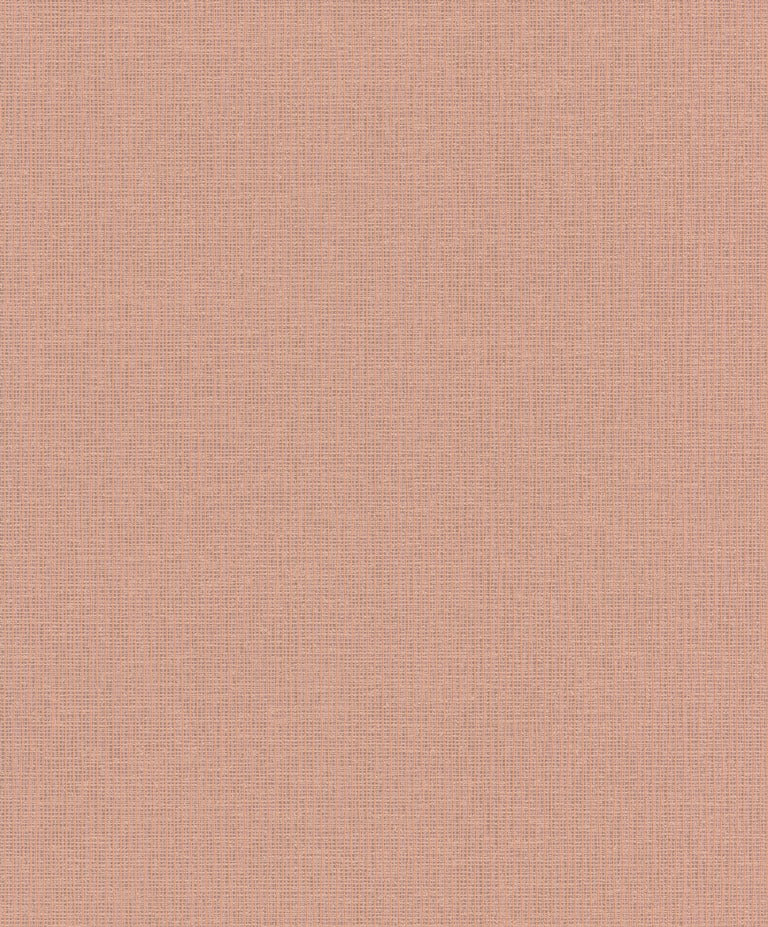Discount Sale(A 47009)