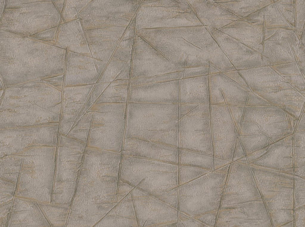 Discount Sale(C88434)