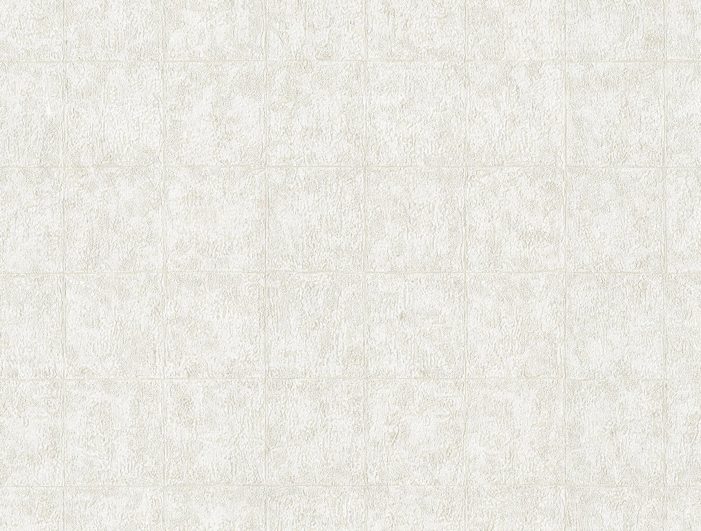 Discount Sale(C88441)