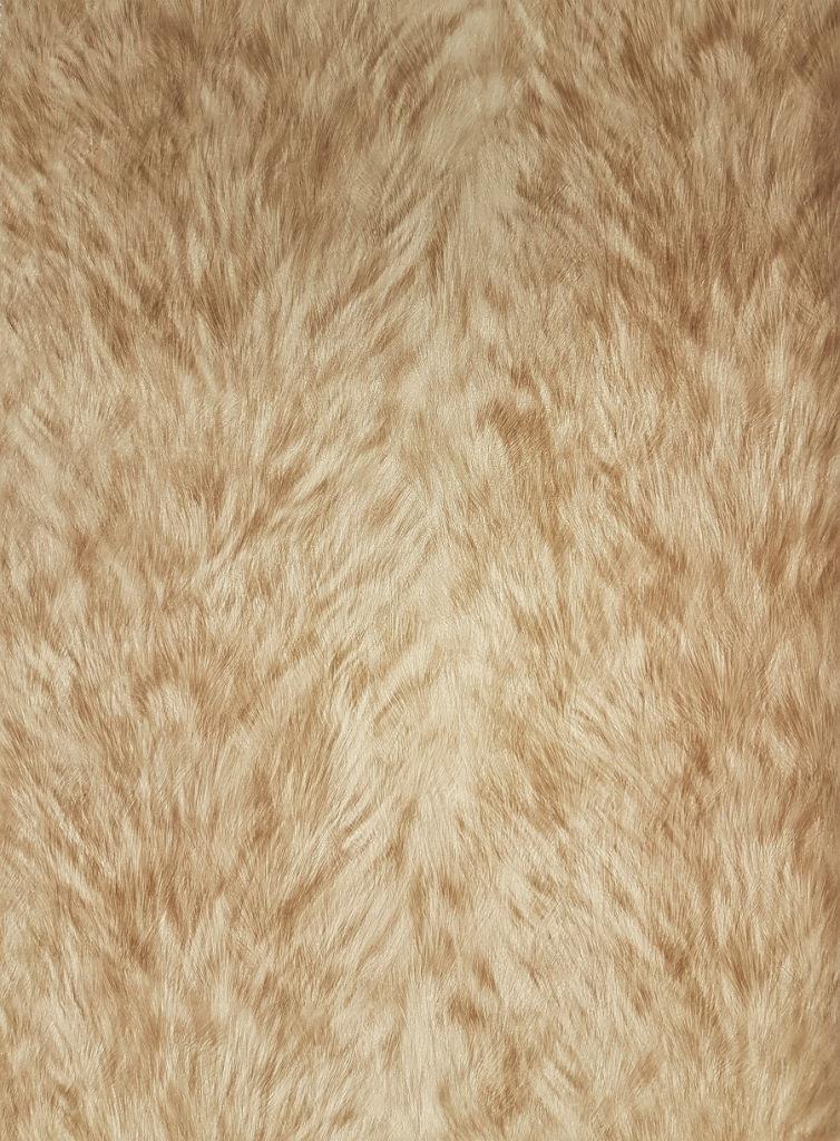 Discount Sale(C88719)