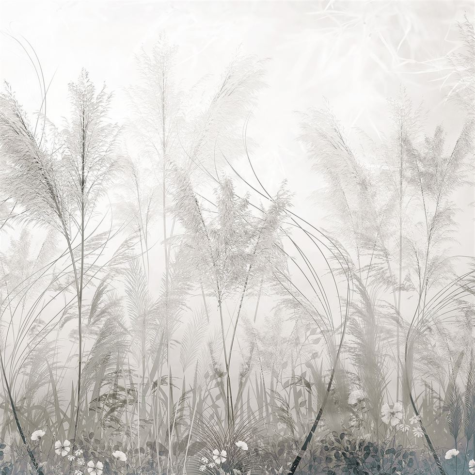Grassy Glade (LDS 126)