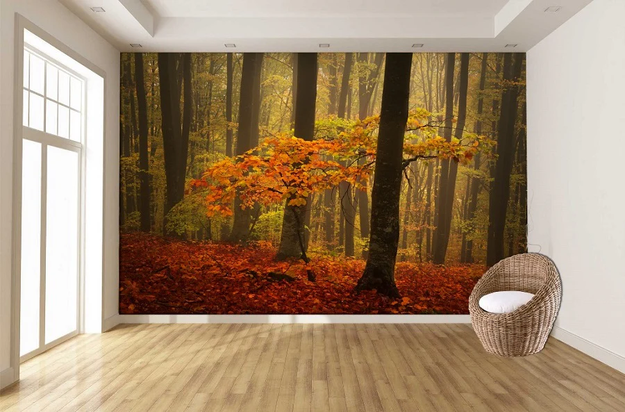 Misty Forest Glow ( NAT 130 ) - Image 2