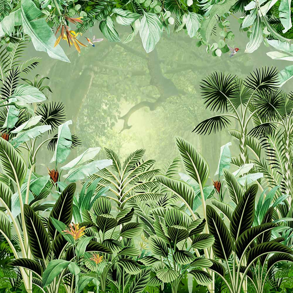 Misty Rainforest ( ORI 137 )