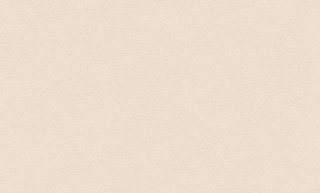 Neutral Glow(UI 1008)