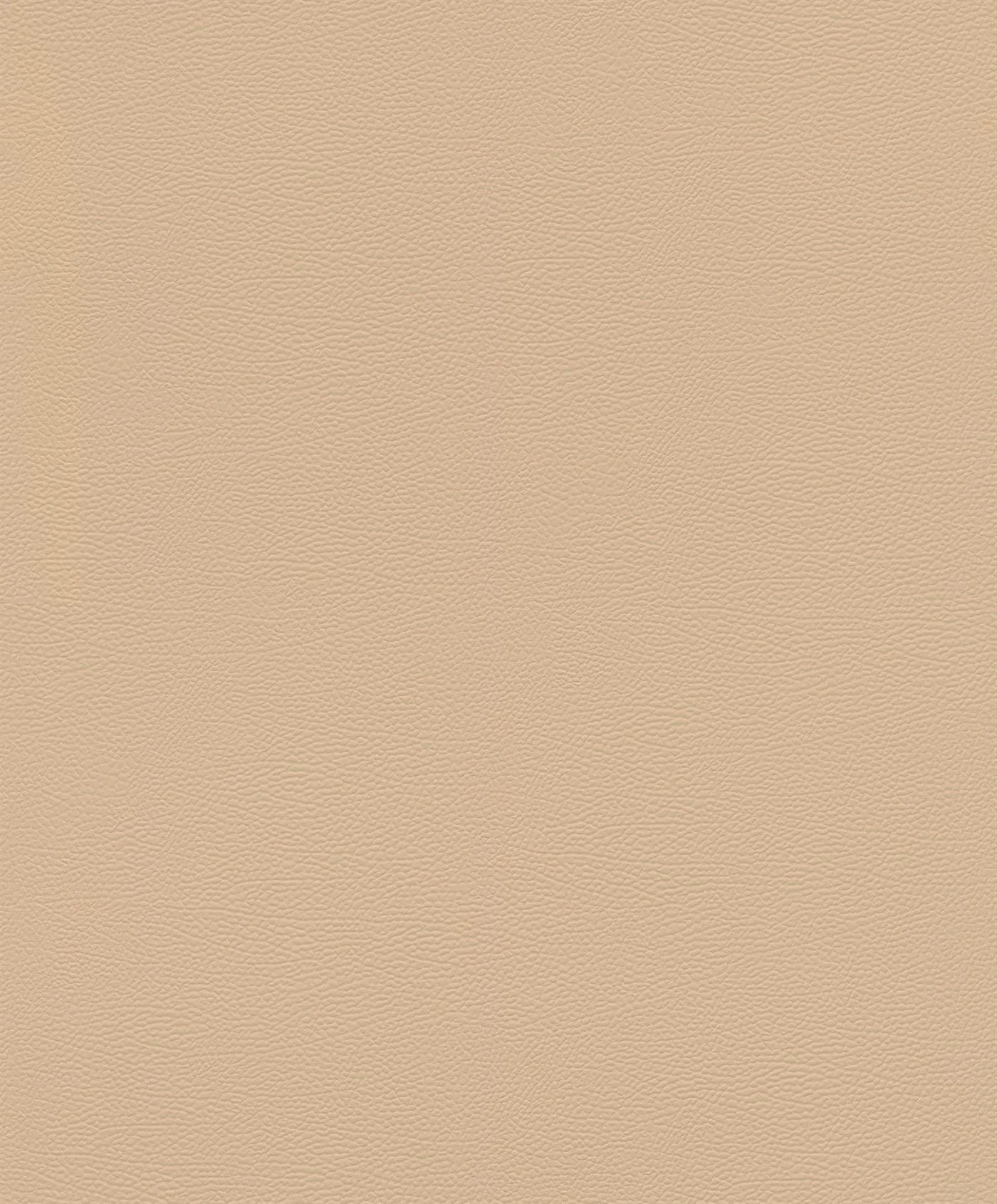 Silky Sands (752694)