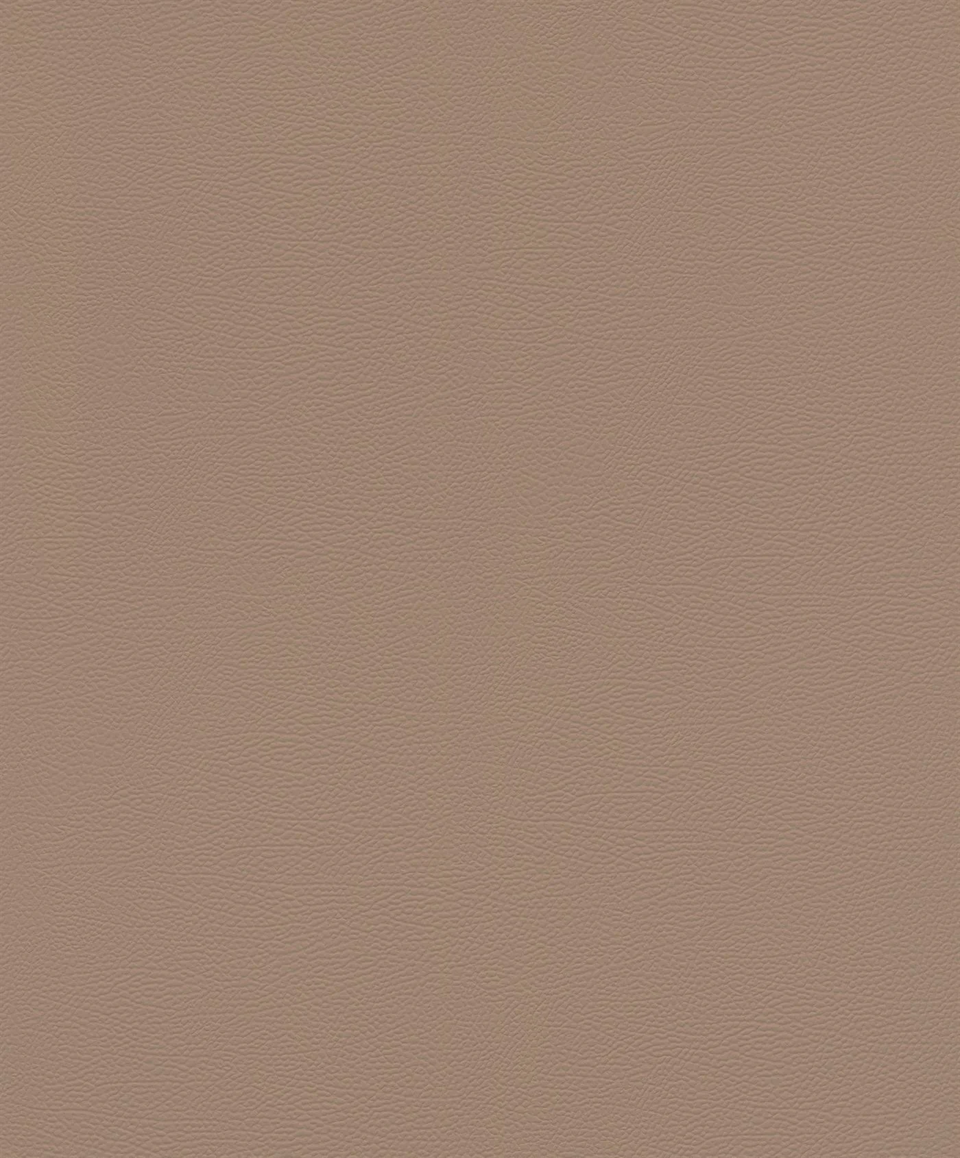 Silky Sands (752724)
