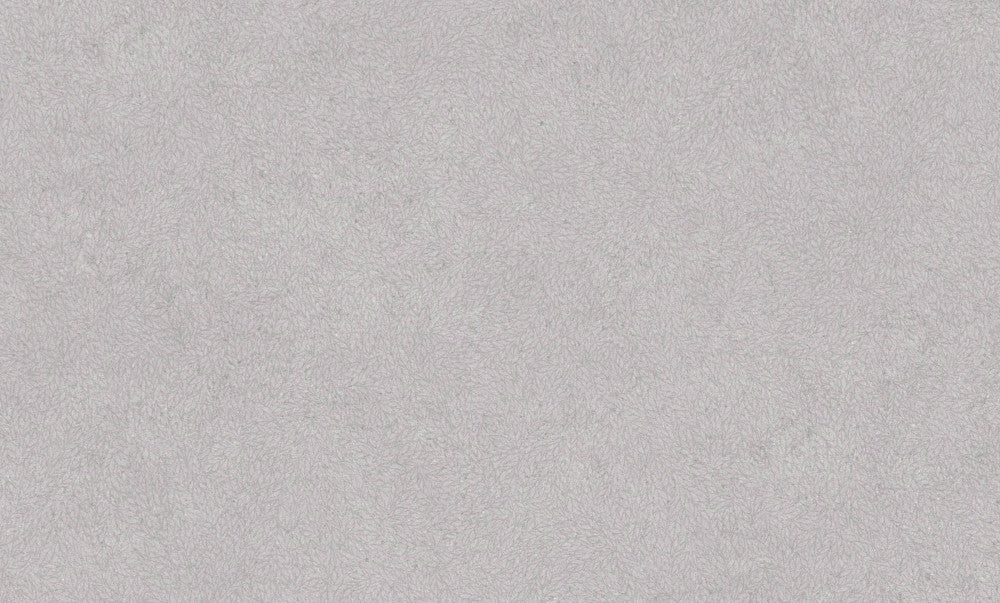 Silver Granite (HY 3005)