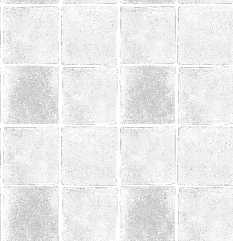 TERRANE(Light Silver) (BOR 124)
