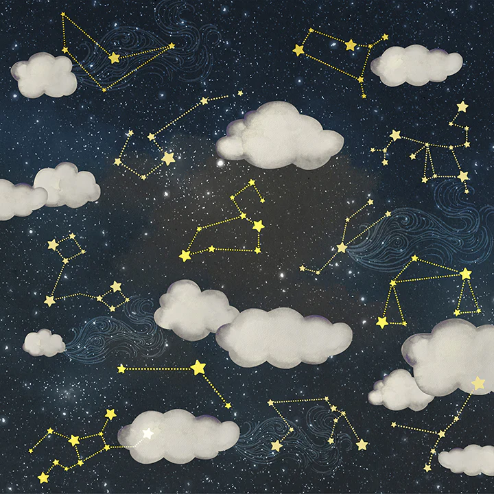 Twinkle Twinkle (FNZ 333)