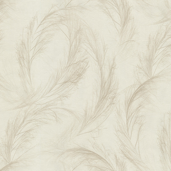 White Pampas Grass (DB 73755)
