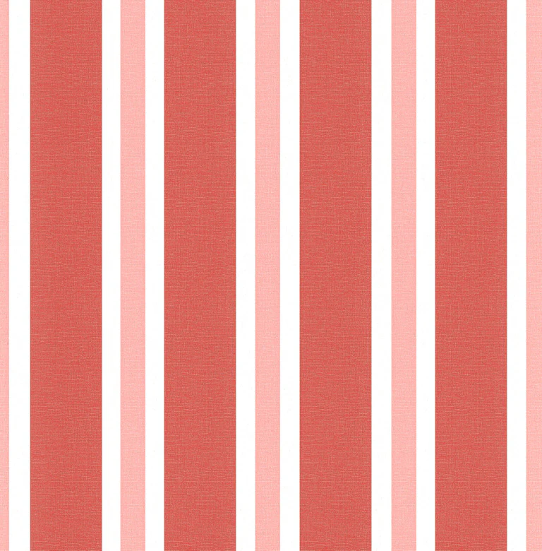 Zebra Stripes (INS 260)